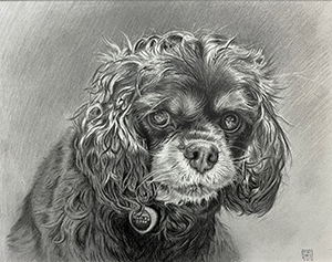 Image of Brent Jones' graphite drawing, Isabelle.